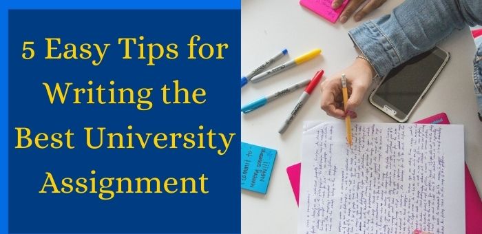 Five Tips to Writing an Excellent Assignment